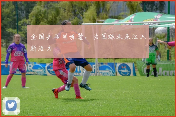 全国乒乓训练营，为国球未来注入新活力
