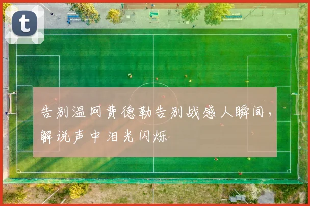 告别温网费德勒告别战感人瞬间，解说声中泪光闪烁