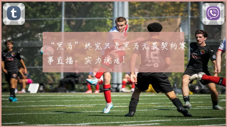 “黑马”终究只是黑马无畏契约赛事直播，实力说话！