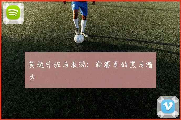 英超升班马表现:新赛季的黑马潜力