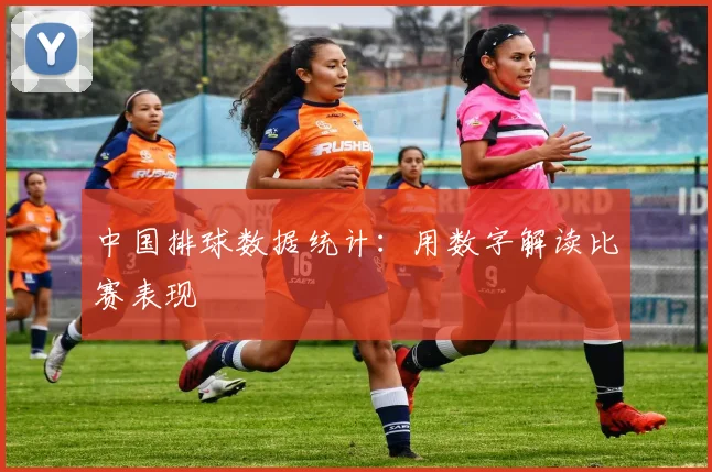 中国排球数据统计：用数字解读比赛表现