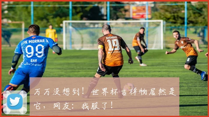 万万没想到!世界杯吉祥物居然是它,网友:我服了!
