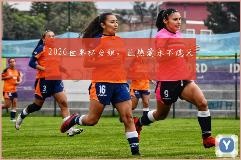 2026世界杯分组，让热爱永不熄灭
